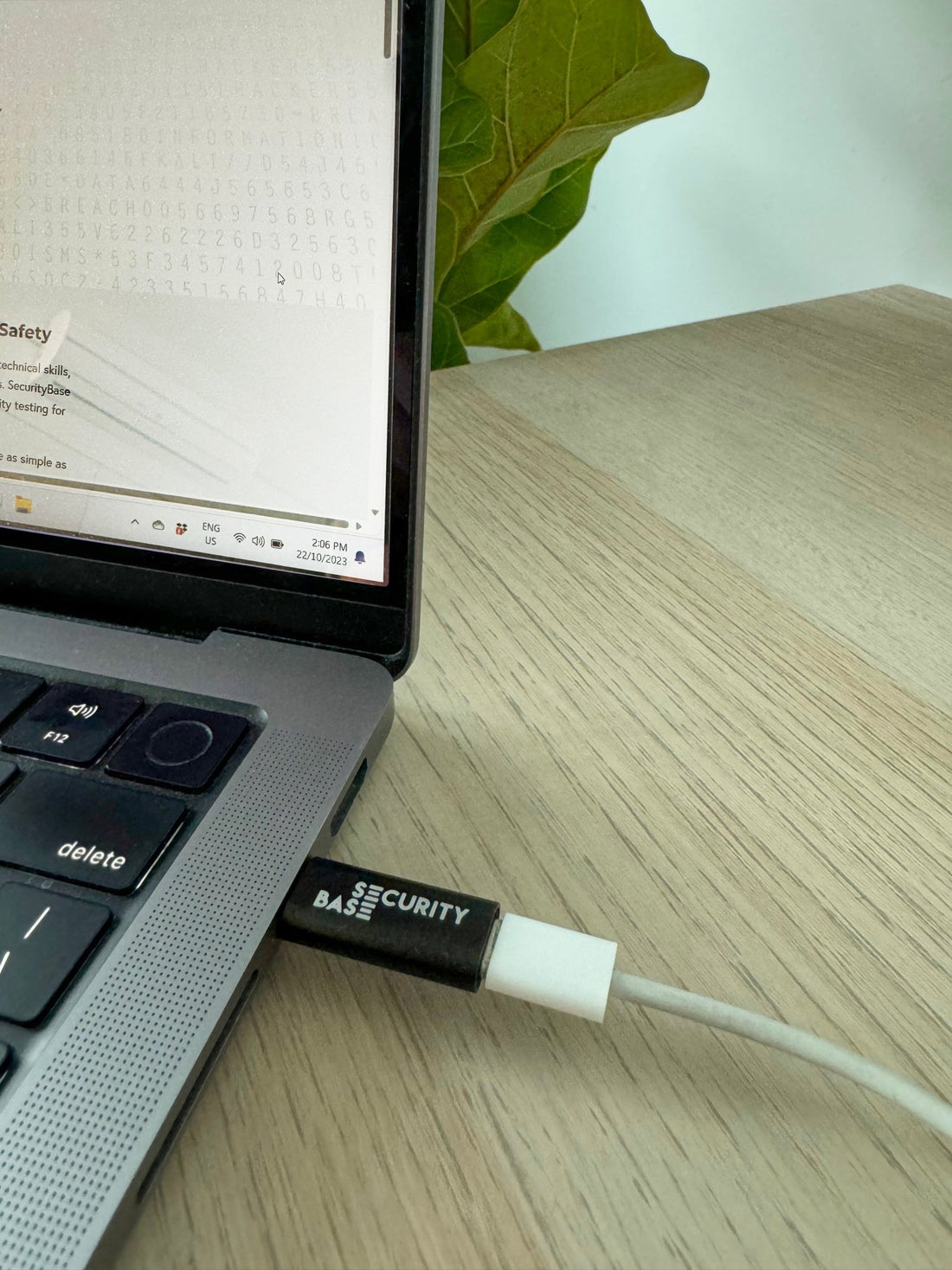 The Essential Guide to USB Data Blockers - Securitybase